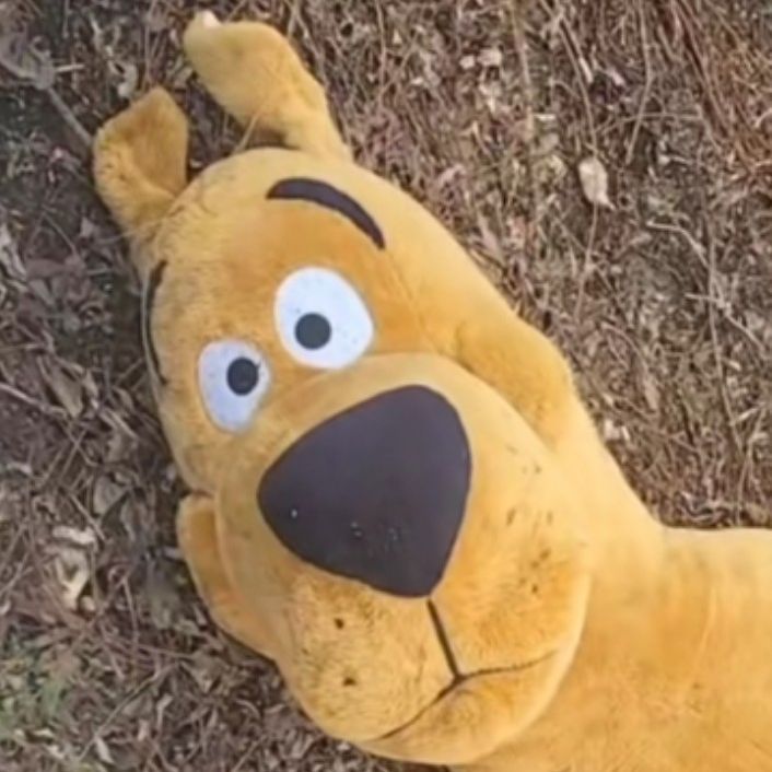 perWWaki