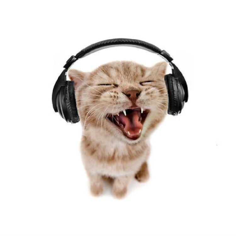JRadinger avatar