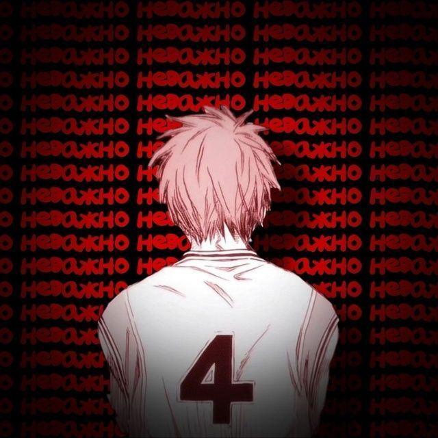 sanya_jirny avatar