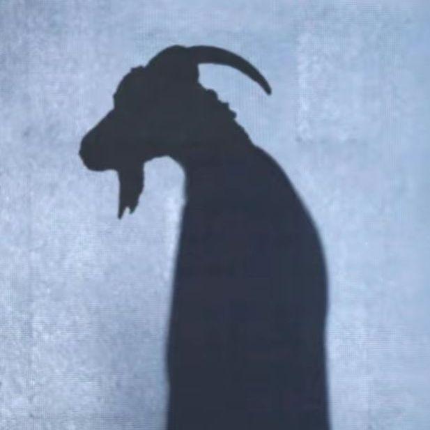 notszaby avatar