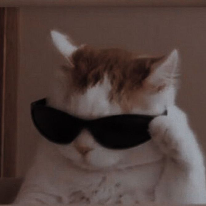 KaSfps_