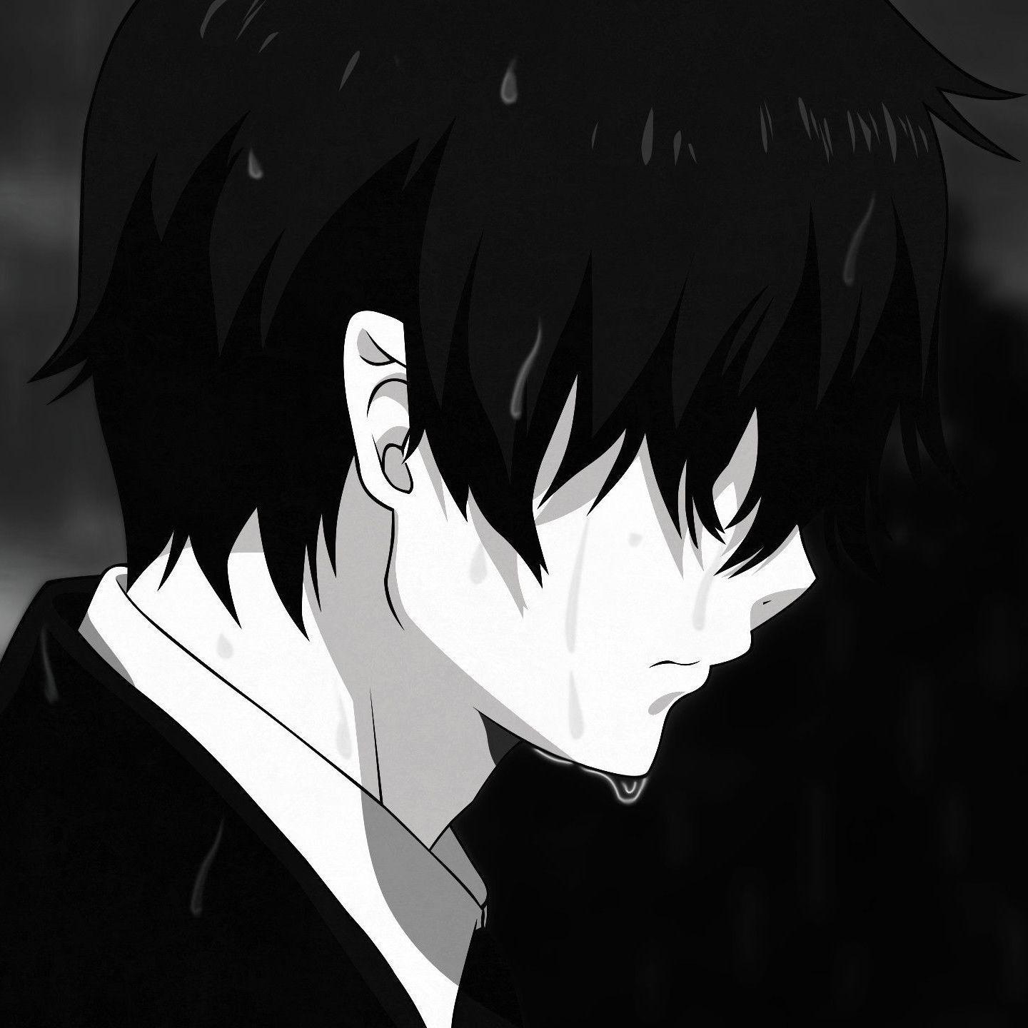FreeDreams avatar