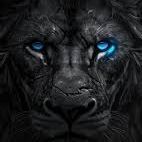 team_GuedZy