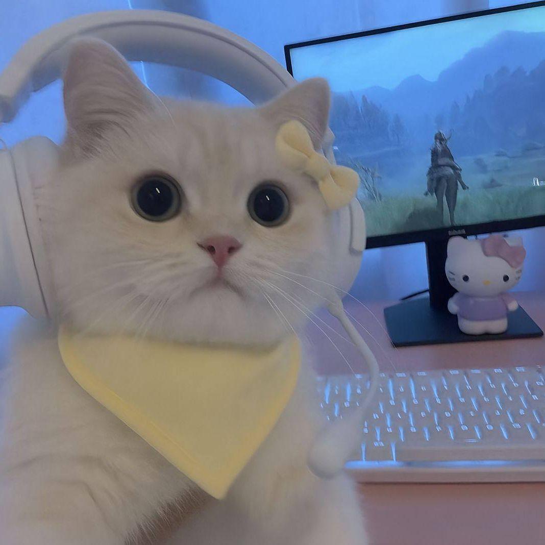 Askrimi avatar