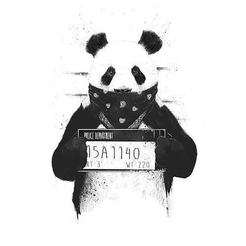 Pandasiiito