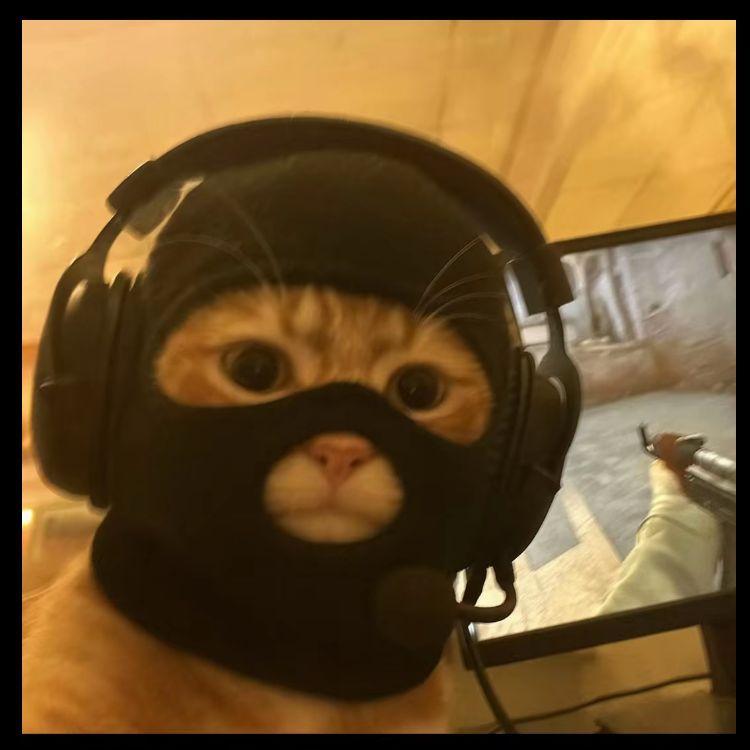 ref0rmedb0t avatar
