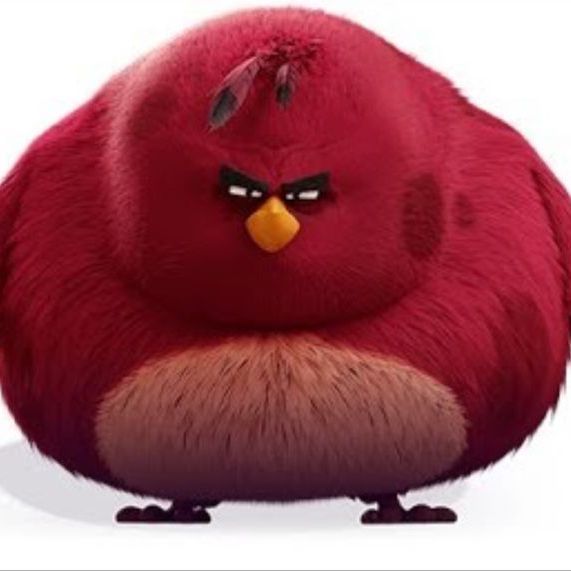 swiftoy1