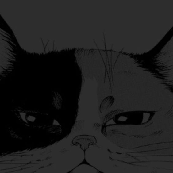 Birsagi avatar