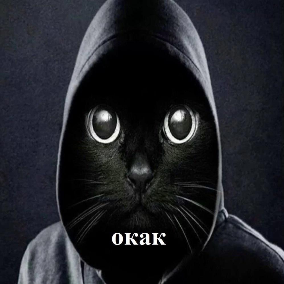 Lokkkii avatar