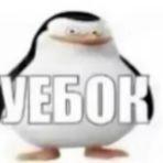 pizdabol666 avatar