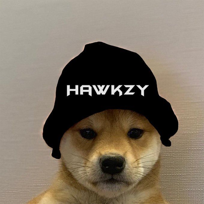 Hawkzy