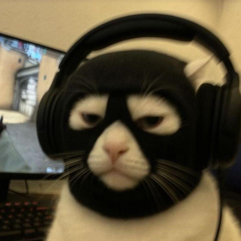 Fjin avatar