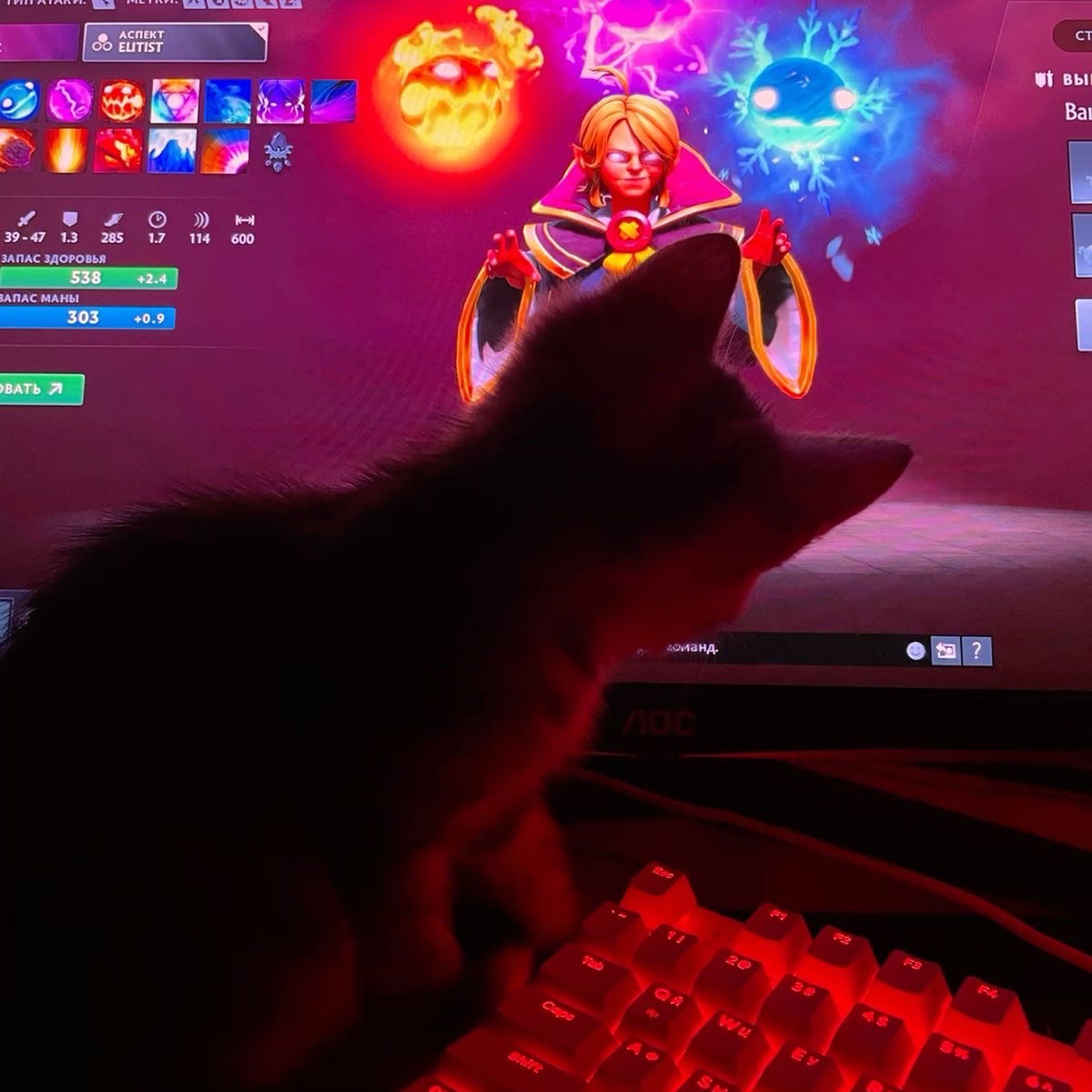 tavi-_-
