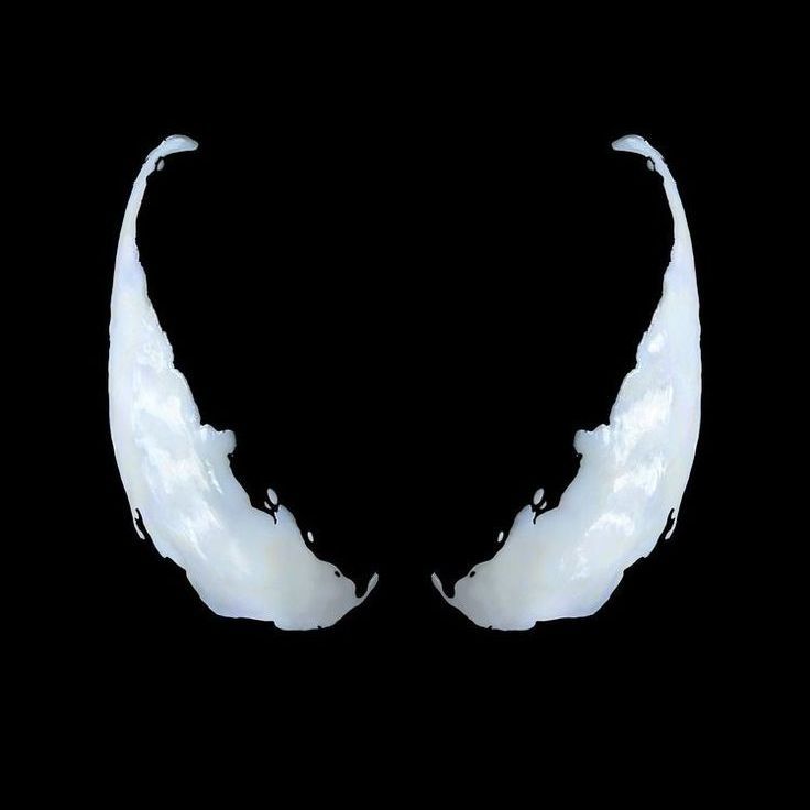 Kaicok-