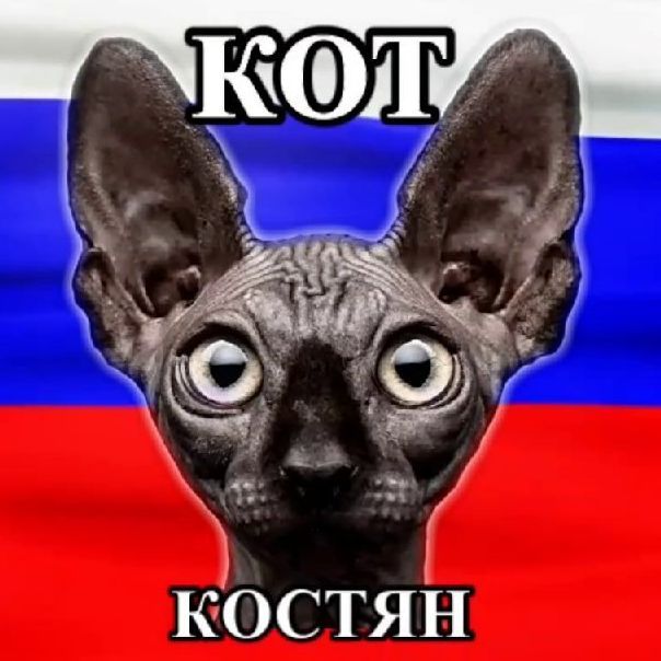 K0ST1K_ILIN