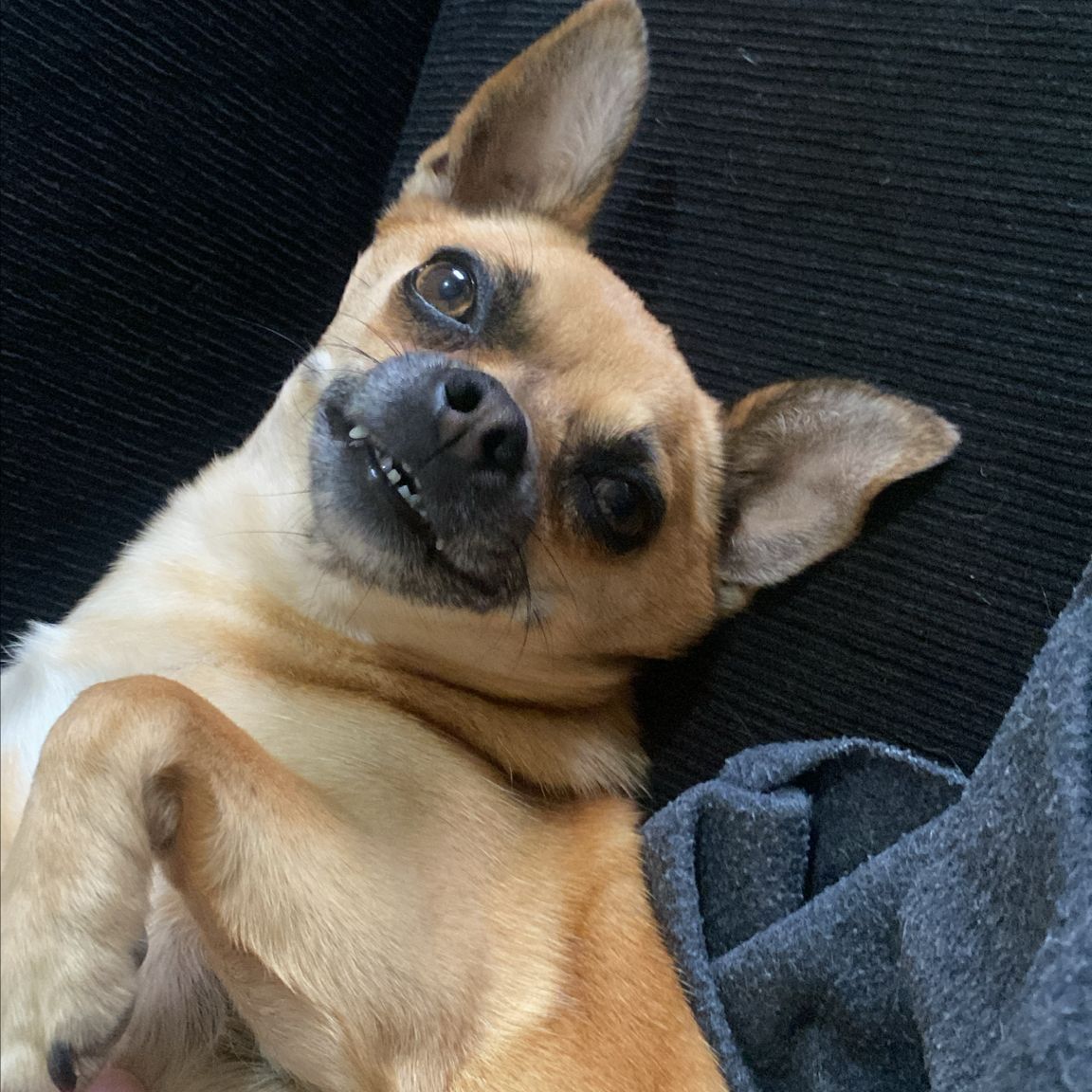 deepzito