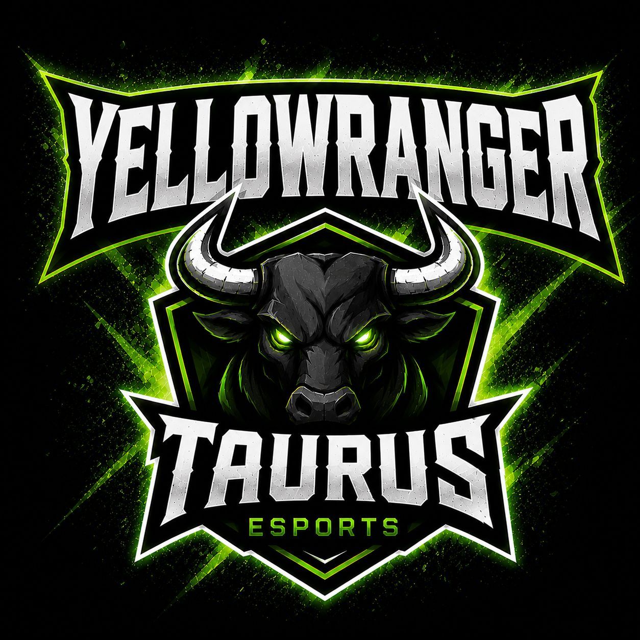 YeIlowRanger FACEIT avatar