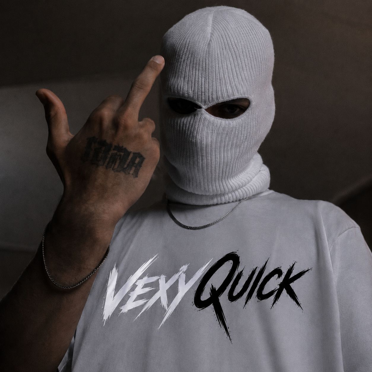 team_VexyQuik