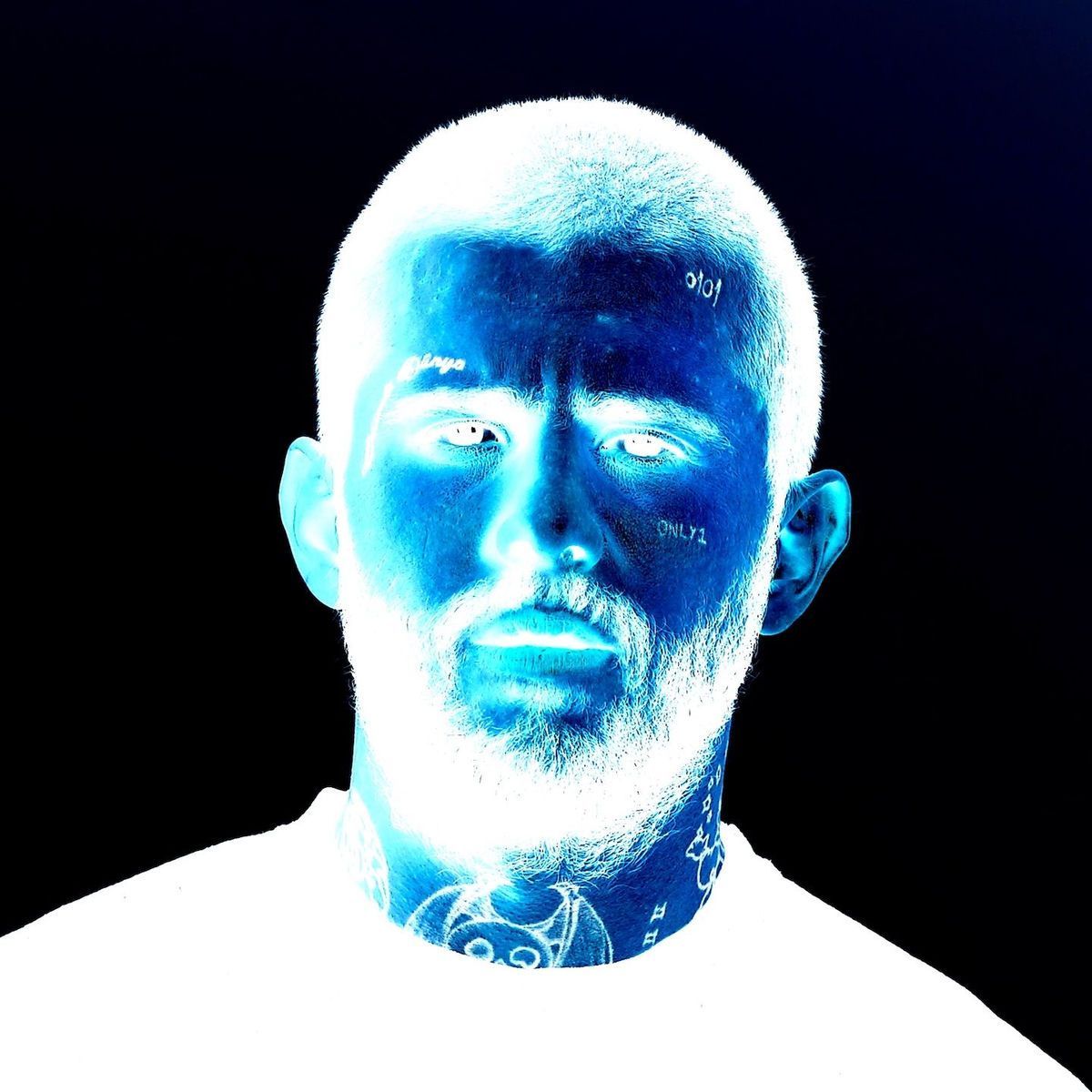 mexesil FACEIT avatar