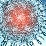 T-Virus1