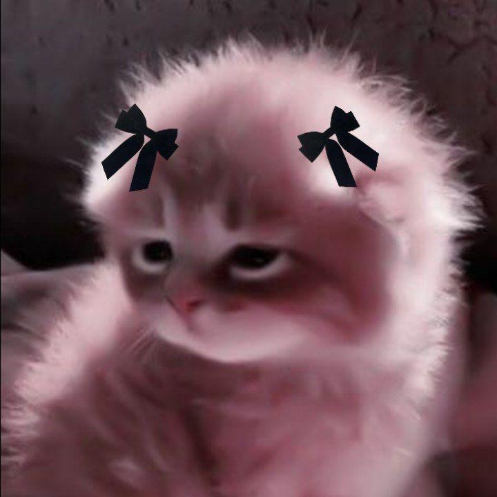Oklk2 avatar