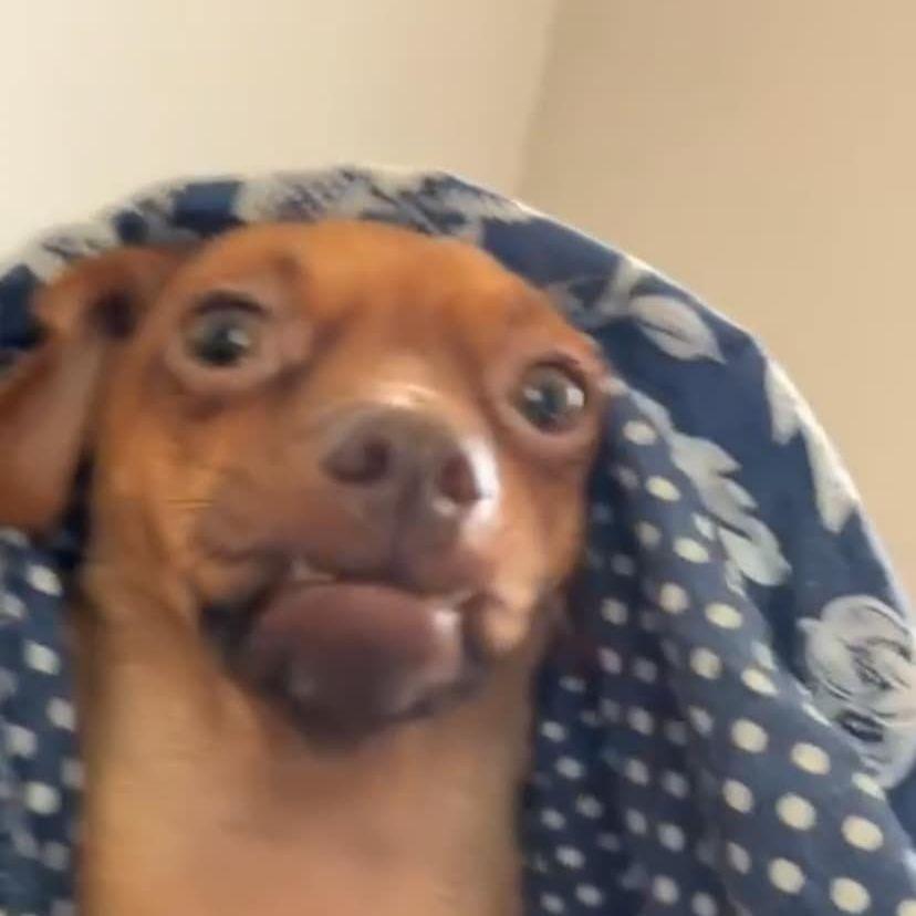 Bonnie666