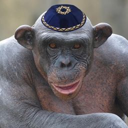 Popopolopopo