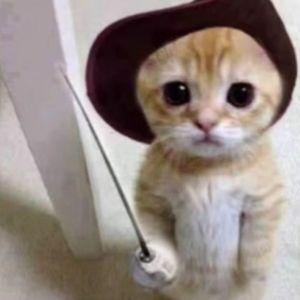 kyt0p avatar