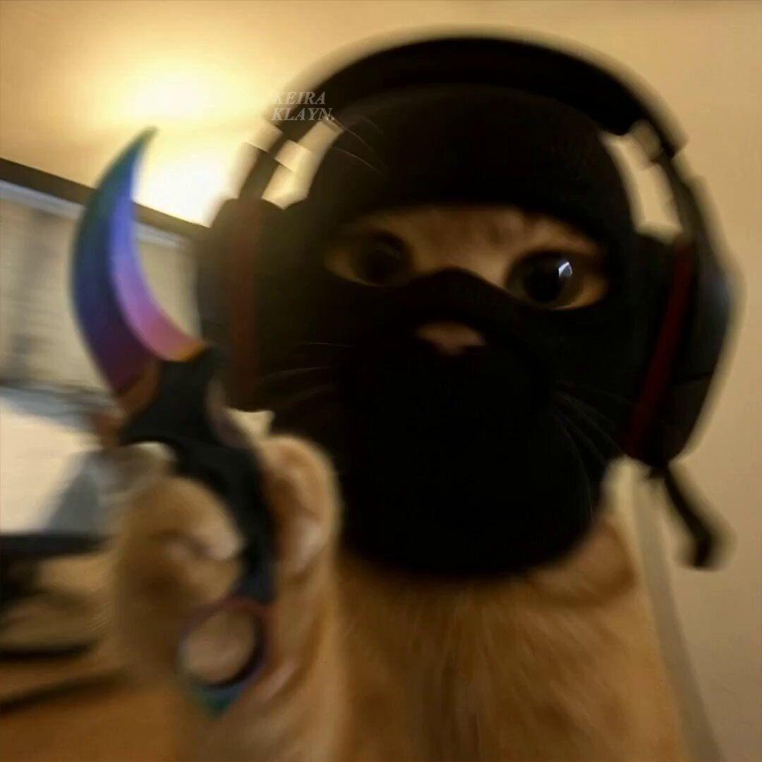 headishead avatar