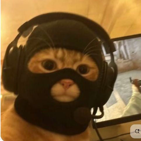 team_zabmeister