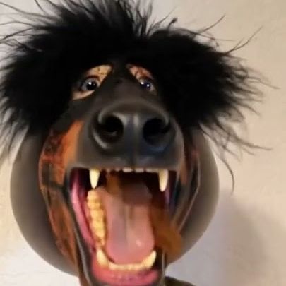 Ponycharodey