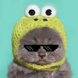 devues avatar