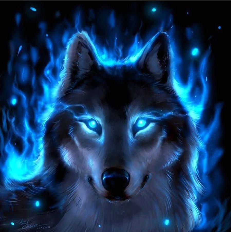 Wolfx_x