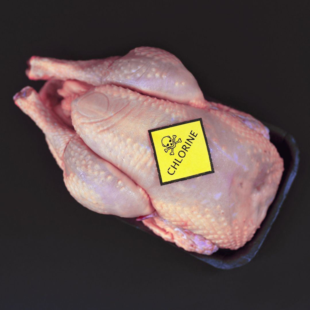 Chlorhuhn