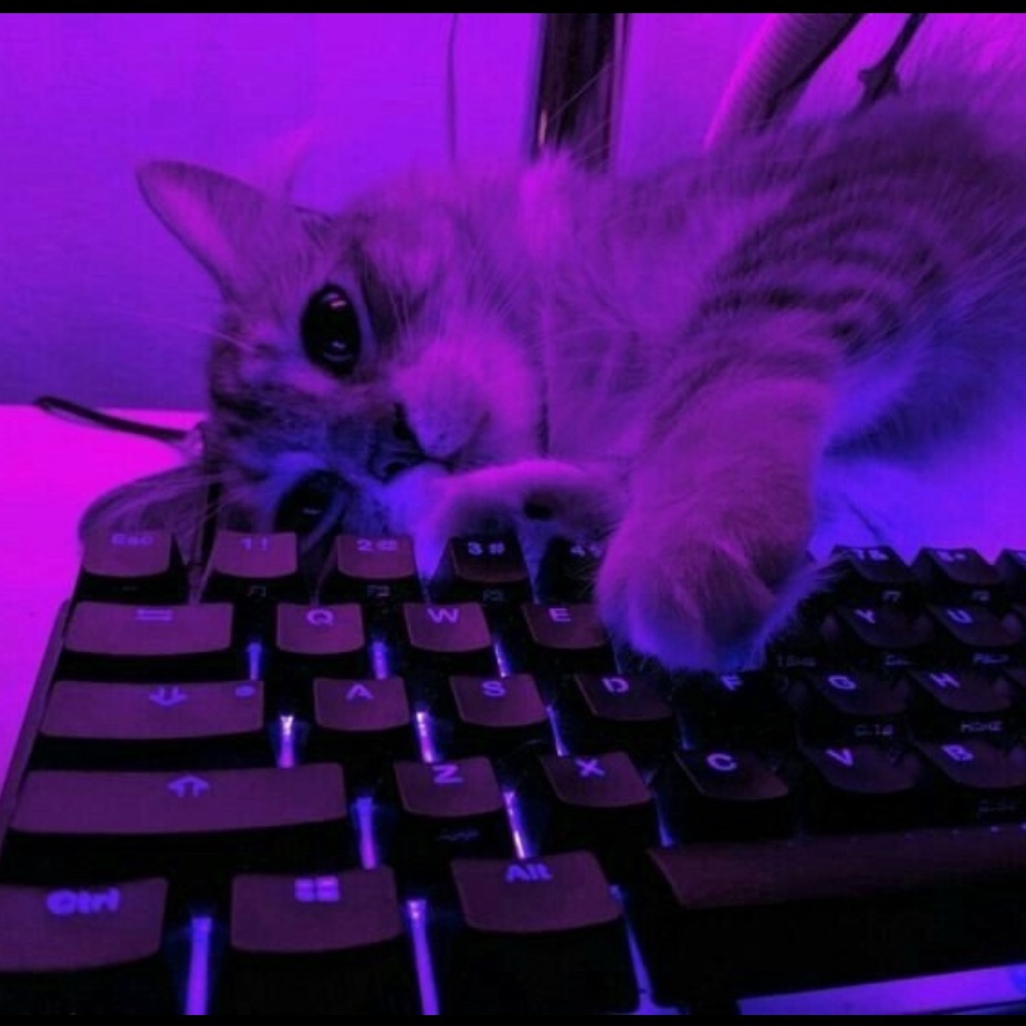 Dozyanski