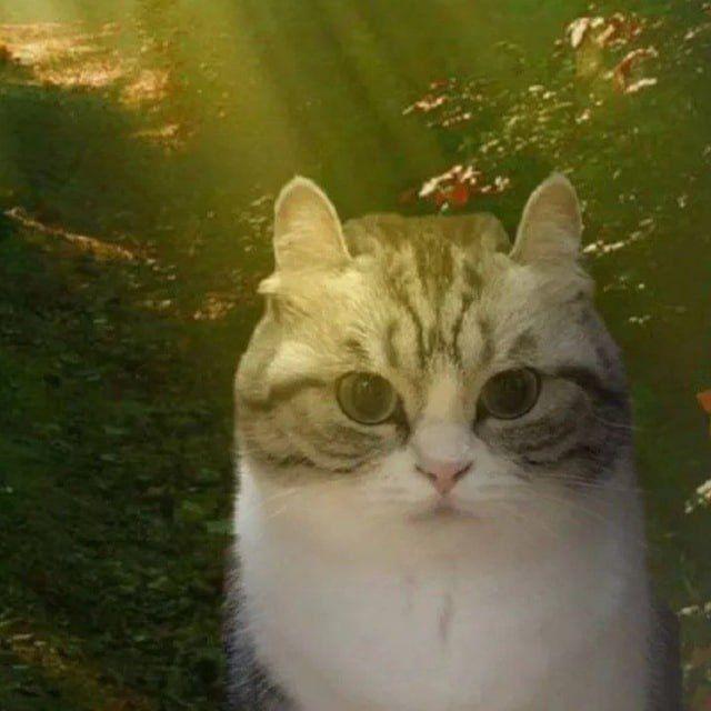 SunDragger