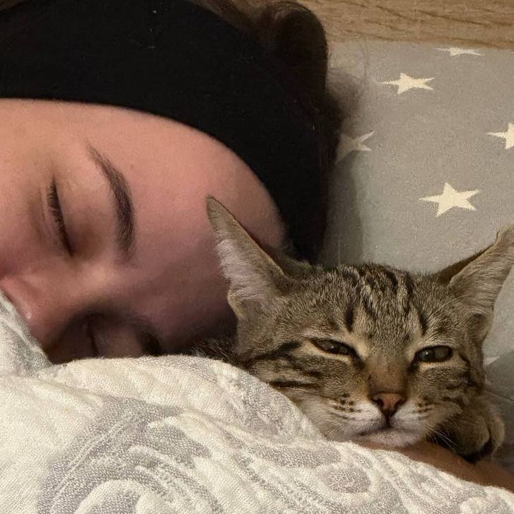 sleepie