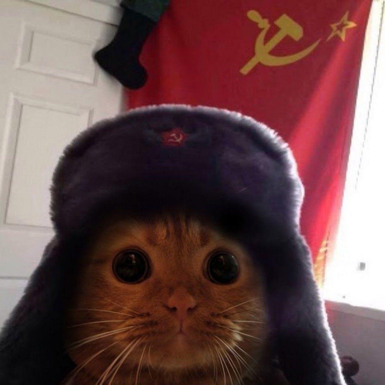 ZazagartnerW