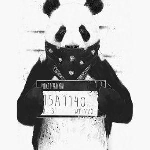 GanG5taPAnda avatar