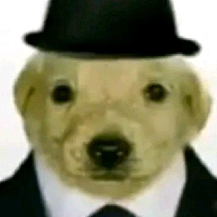 zxcEblan4ik avatar