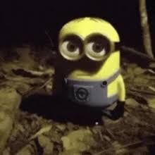 minion129