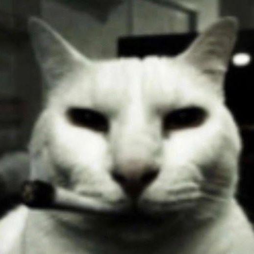 maffin_ avatar