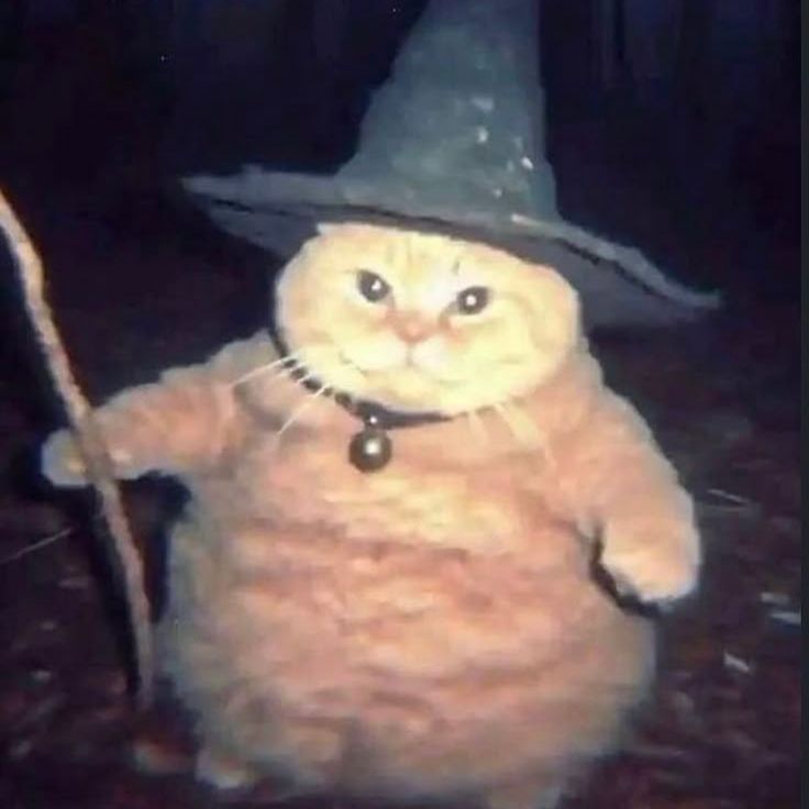 catwizard39 FACEIT avatar