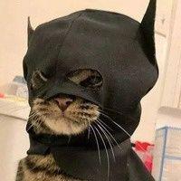 Bekobiii avatar