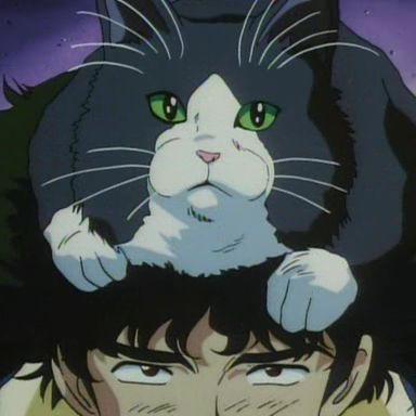 chichazavR avatar