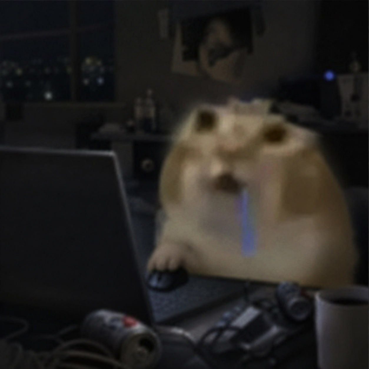 Sheo777