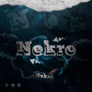 nekro9914 avatar