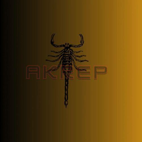 AKREP0 avatar