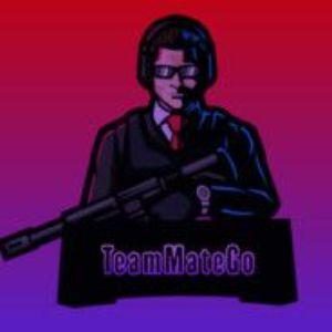 TeamMateGo avatar