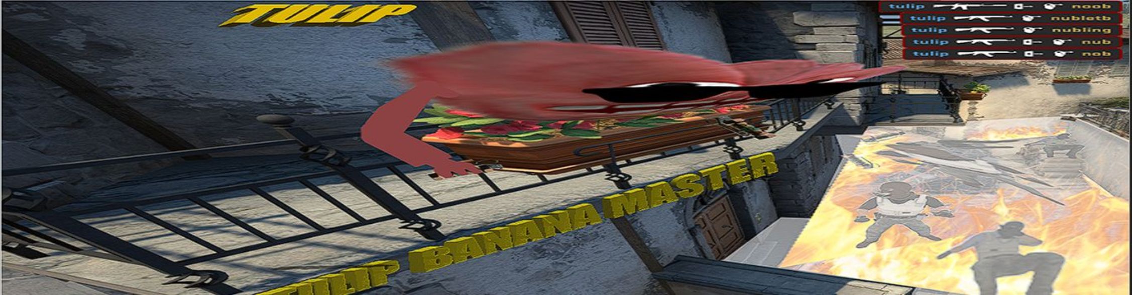 Faceit banner for @tulip
